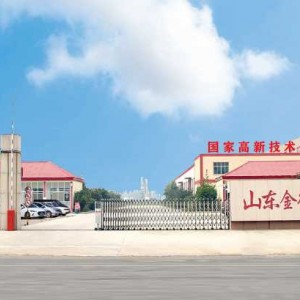 山东金德新材料有限公司